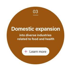 Domestic expansion into diverse industries related to food and health